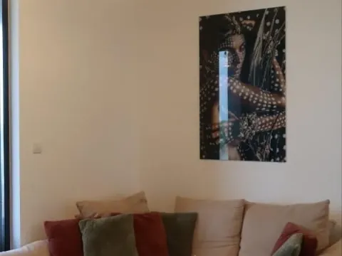 Izdavanje, stan, 105m², Sremska Kamenica, Petrovaradin - image 17