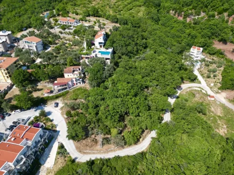 Pogled iz vazduha na kuće i bogato zelenilo u okruženju. - image 7