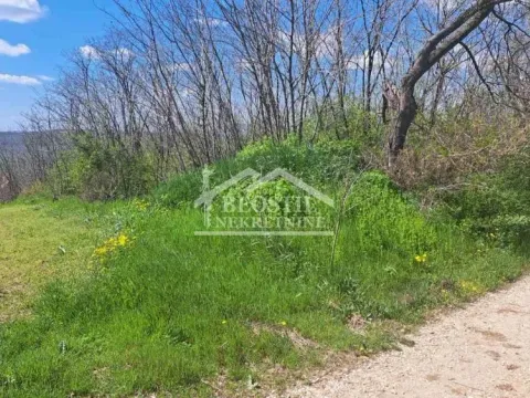 Prodaja, plac, 1800m², Ritopek, Grocka - image 9