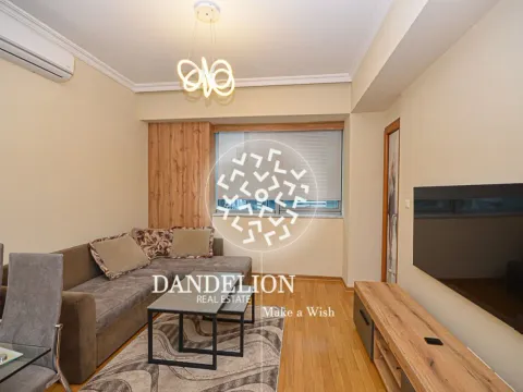 Izdavanje, jednosoban stan, 41m², Centar, Podgorica - image 5