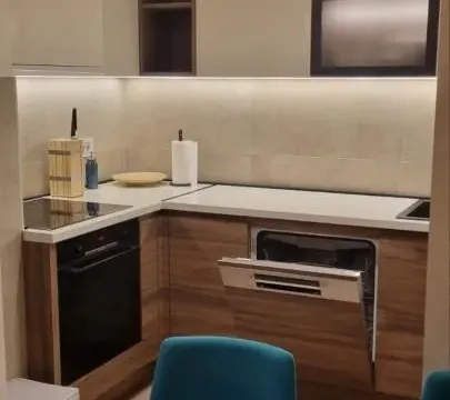 Rent, three bedroom apartment, 70m², Vračar Hram, Vračar Sve Podlokacije - image 4