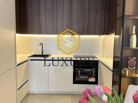 Rent, one bedroom apartment, 46m², Zabjelo, Podgorica - image 2