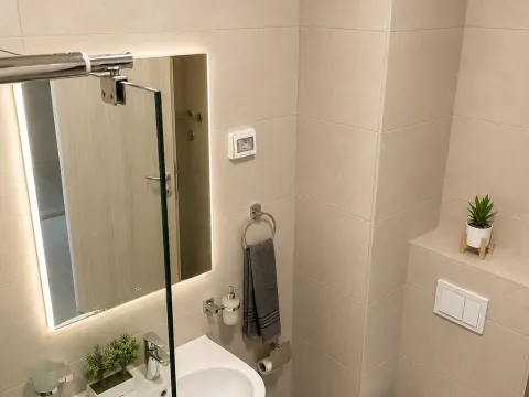 Izdavanje, jednosoban stan, 50m², Ljubović, Podgorica - image 8