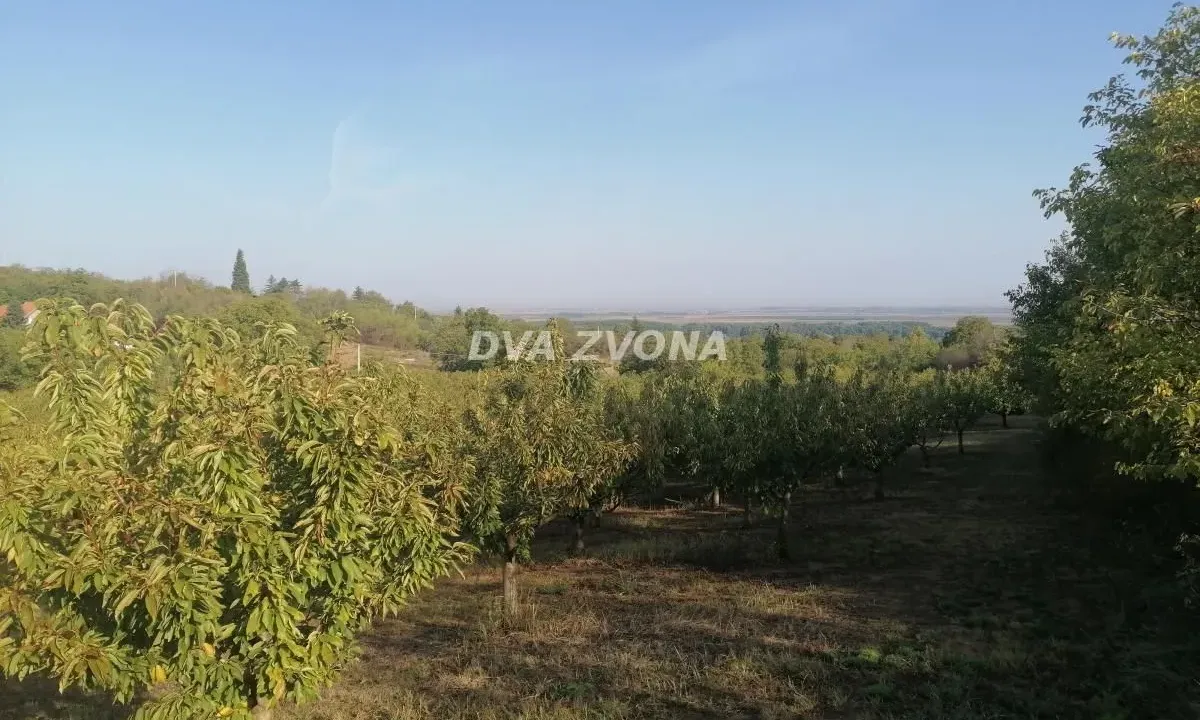 Sale, land lot, 114m², Krčedin, Inđija
