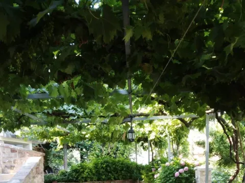 Izdavanje, kuća, 120m², Pržno, Budva - image 6