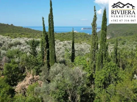 Prodaja, kuća, 128m², Herceg Novi, Crna Gora - image 6