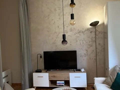 Izdavanje, garsonjera, 35m², Tuški Put, Podgorica - image 2