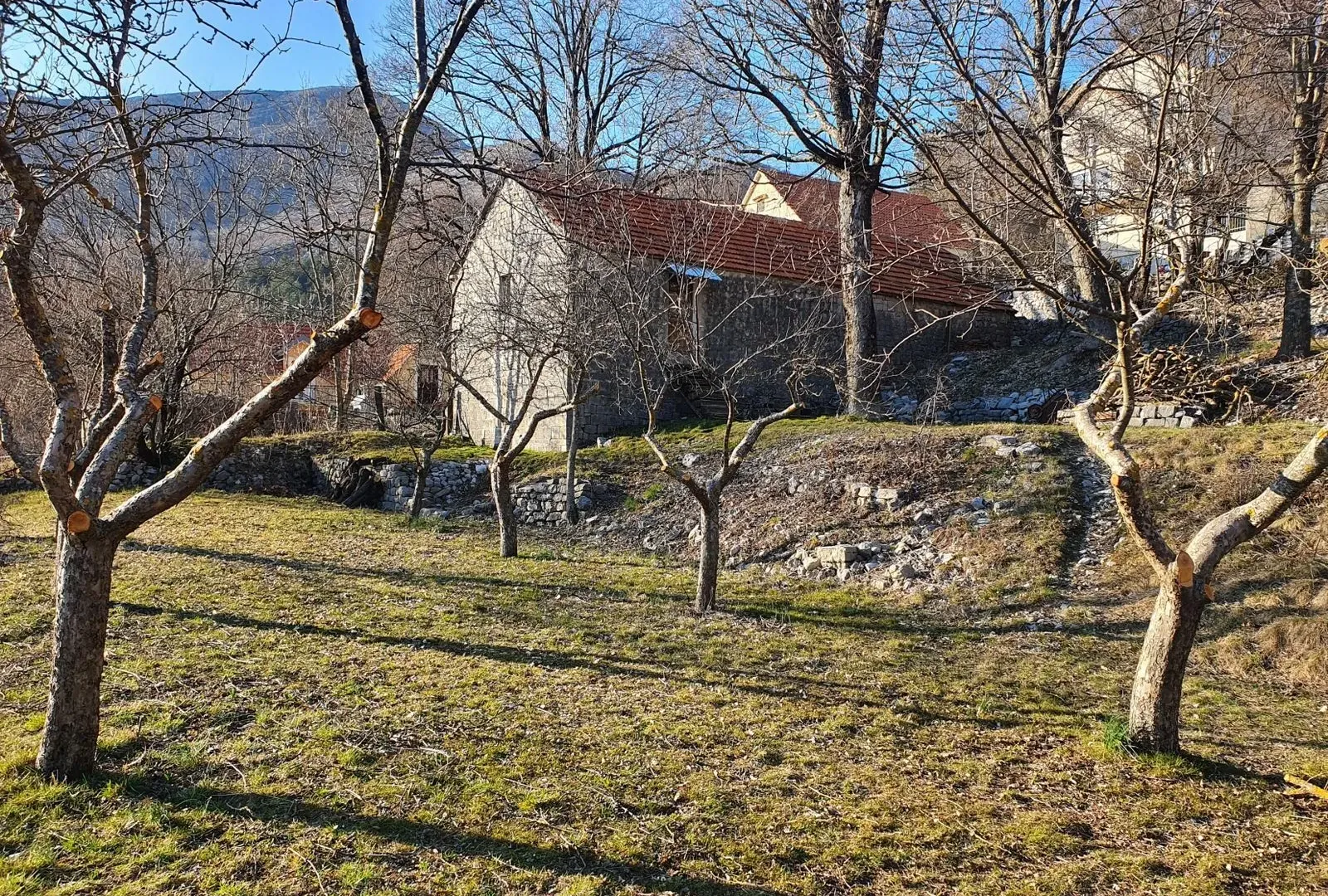 Prodaja, plac, 4984m², Njeguši, Cetinje