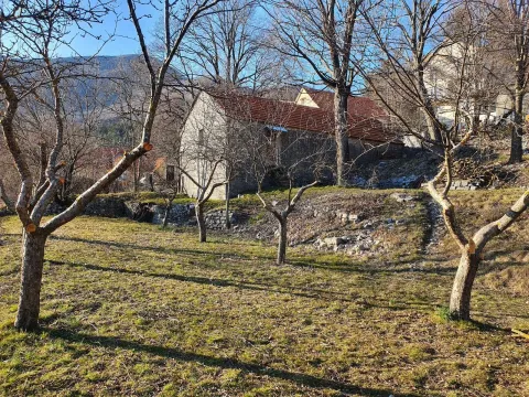 Prodaja, plac, 4984m², Njeguši, Cetinje - image 2