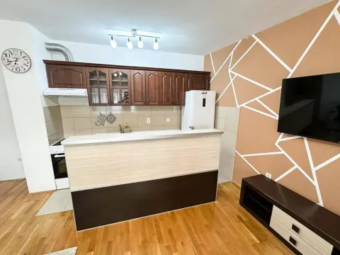 Izdavanje, jednosoban stan, 48m², Ljubović, Podgorica - image 5