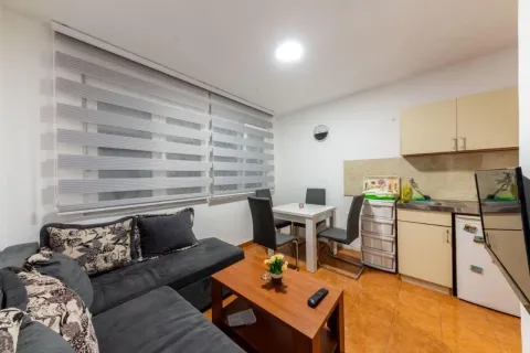 Izdavanje, jednosoban stan, 40m², Preko Morače, Podgorica - image 6