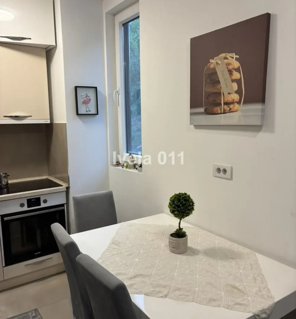Sale, two bedroom apartment, 44m², Višnjička Banja, Palilula Sve Podlokacije