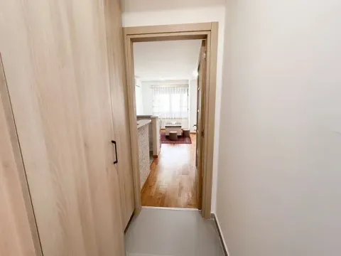 Izdavanje, jednosoban stan, 42m², Zabjelo, Podgorica - image 2