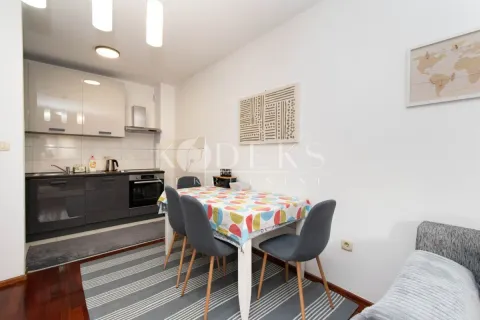 Rent, one bedroom apartment, 44m², Stari Aerodrom, Podgorica - image 3
