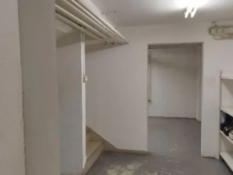 Izdavanje, poslovni prostor, 170m², Botanička Bašta, Palilula Sve Podlokacije - image 14