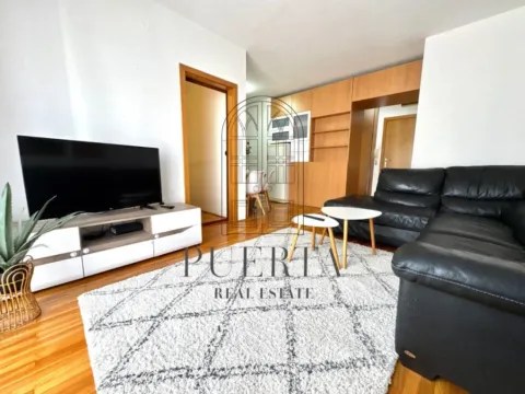 Izdavanje, jednosoban stan, 40m², Stara Varoš, Podgorica - image 9