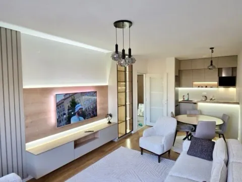 Izdavanje, jednosoban stan, 49m², Central Point, Podgorica - image 2
