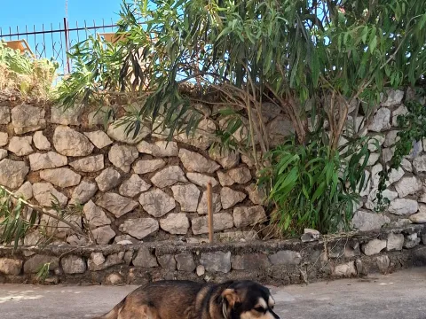 Prodaja, kuća, 180m², Dubrava, Bar - image 9