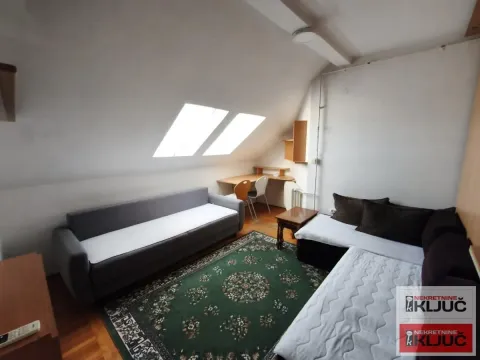 Potkrovni dnevni boravak sa dva kauča, krovnim prozorima i radnim stolom. - image 2