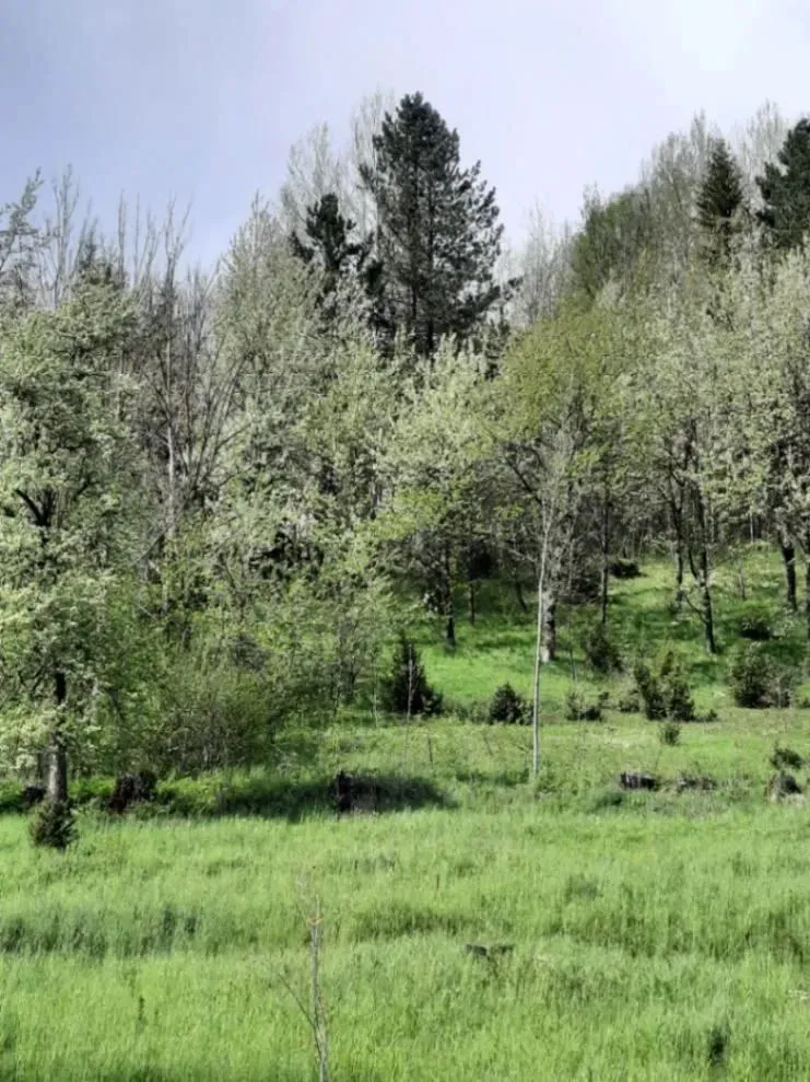 Prodaja, plac, 1416m², Kolašin, Crna Gora