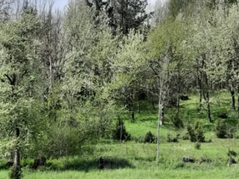 Prodaja, plac, 1416m², Kolašin, Crna Gora - image 5