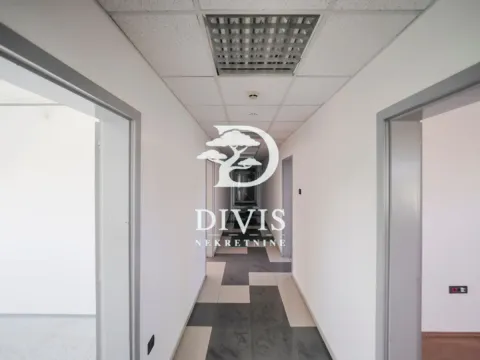 Rent, office space, 216m², Zemun Gornji Grad, Zemun Sve Podlokacije - image 16