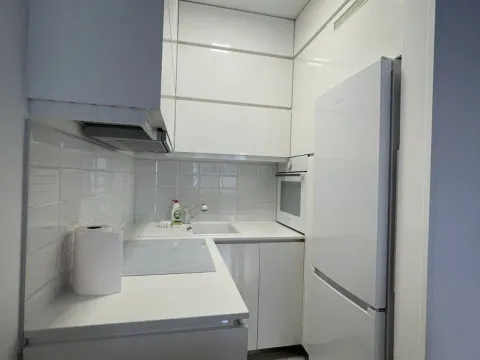 Izdavanje, jednosoban stan, 39m², Stari grad, Novi Sad - image 2