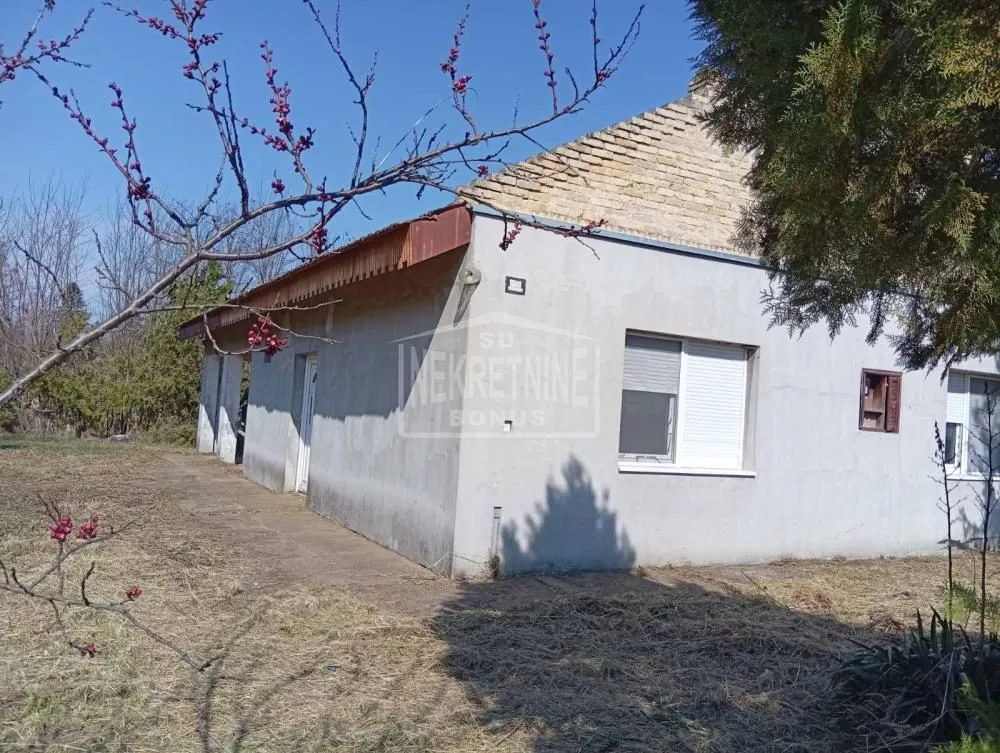 Prodaja, plac, 1563m², Gornji Tavankut, Subotica