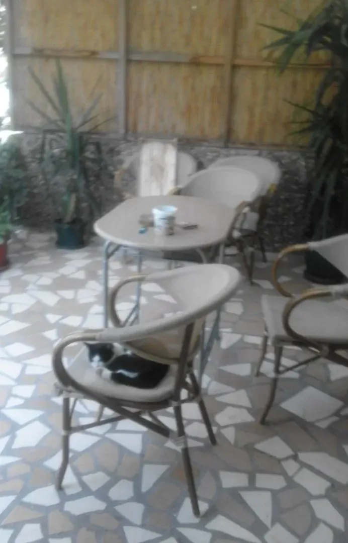 Prodaja, dvosoban stan, 60m², Zemun Polje, Beograd