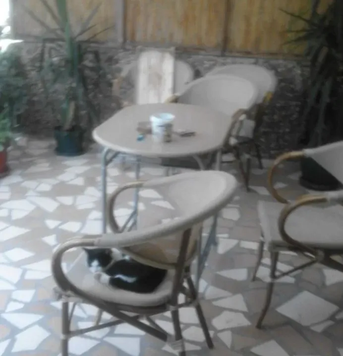 Prodaja, dvosoban stan, 60m², Zemun Polje, Beograd