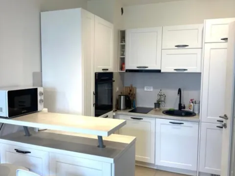 Izdavanje, jednosoban stan, 48m², Tološka šuma, Podgorica - image 2