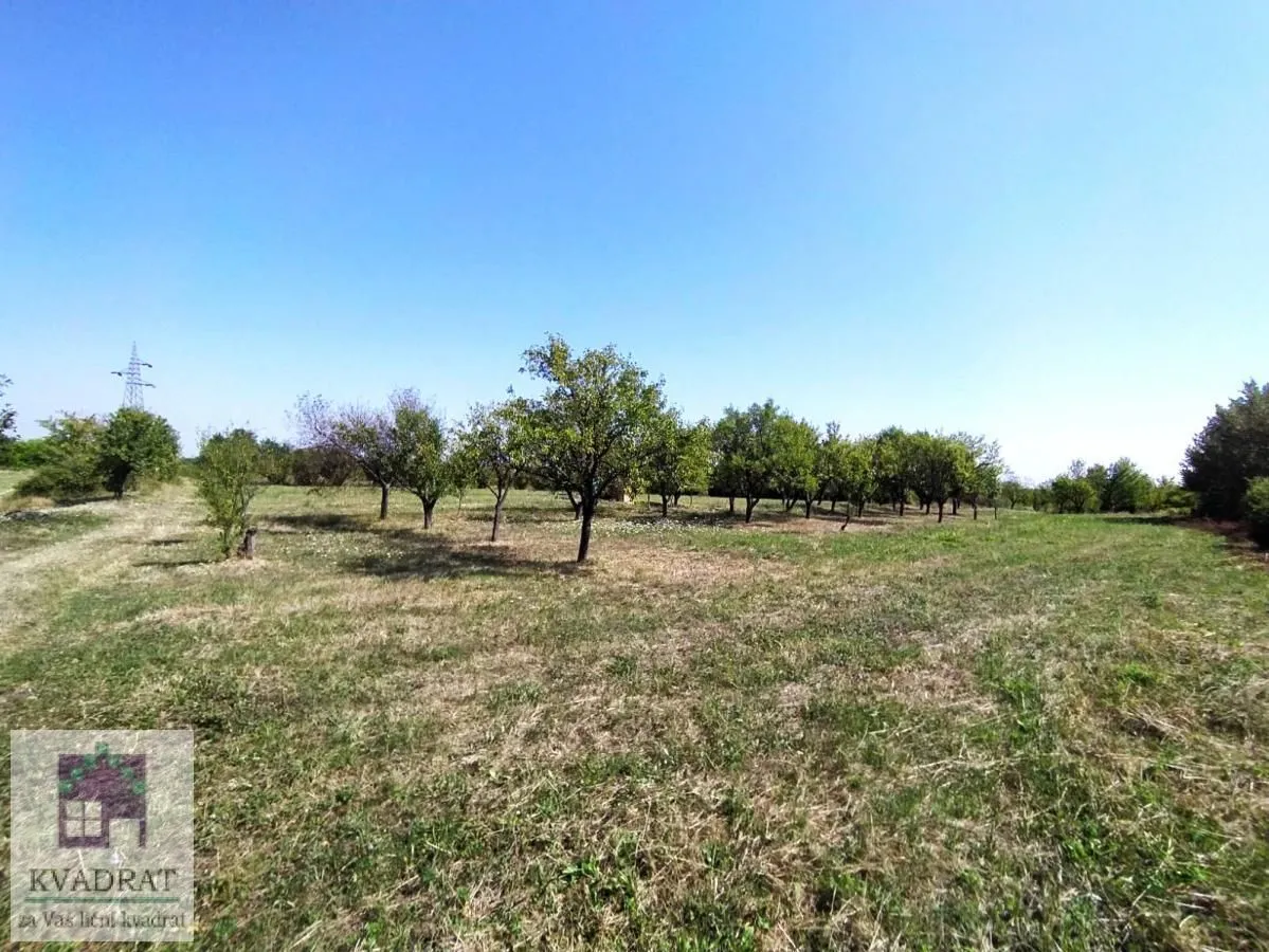 Prodaja, plac, 5900m², Konatice, Obrenovac