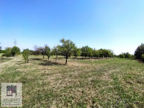 Sale, land lot, 5900m², Konatice, Obrenovac - image 8