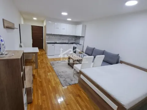 Izdavanje, jednosoban stan, 32m², Zemun Sve Podlokacije, Beograd - image 4