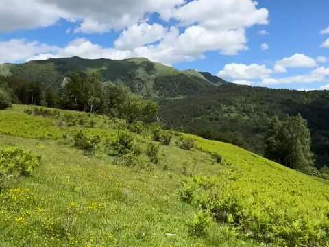 Sale, land lot, 83000m², Izlasci, Kolašin - image 3