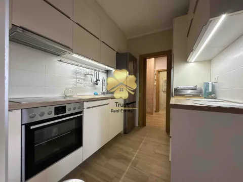 Izdavanje, jednosoban stan, 45m², Momišići, Podgorica - image 4