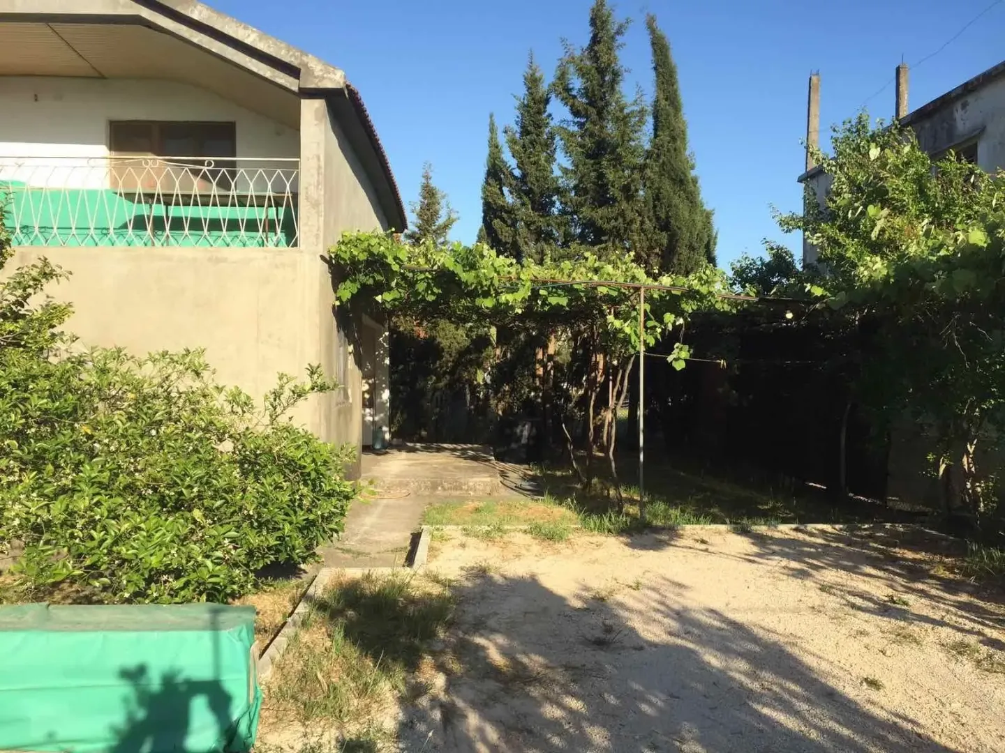 The yard of a two-story house with a green vine canopy and trees.