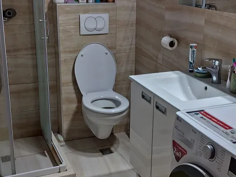 Izdavanje, jednosoban stan, 46m², Radanovići, Kotor - image 8