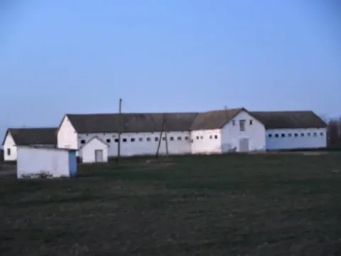 Prodaja, plac, 98000m², Vrbas, Novi Sad - image 3