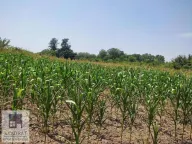 Prodaja, plac, 71m², Stubline, Obrenovac - image 2