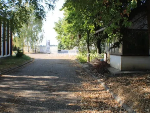 Izdavanje, poslovni prostor, 590m², Temerin, Novi Sad - image 4