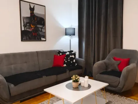 Stan-na-dan, jednosoban stan, 44m², Stari Aerodrom, Podgorica - image 6