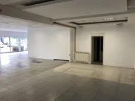 Izdavanje, poslovni prostor, 280m², Altina, Beograd - image 4