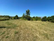 Sale, land lot, 14717m², Kosić, Danilovgrad - image 7