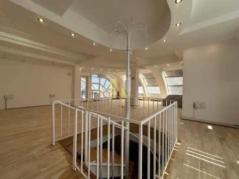 Izdavanje, poslovni prostor, 216m², Centar, Novi Sad