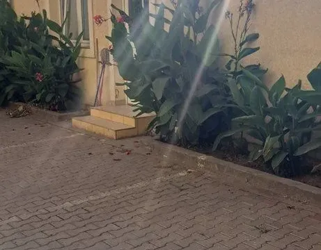 Prodaja, trosoban stan, 91m², Novi Sad, Srbija - image 6