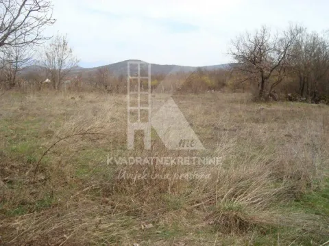 Sale, land lot, 35000m², Gornji Kokoti, Podgorica - image 4