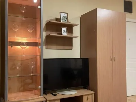 Rent, one bedroom apartment, 37m², Nova Detelinara, Novi Sad Sve Podlokacije - image 3