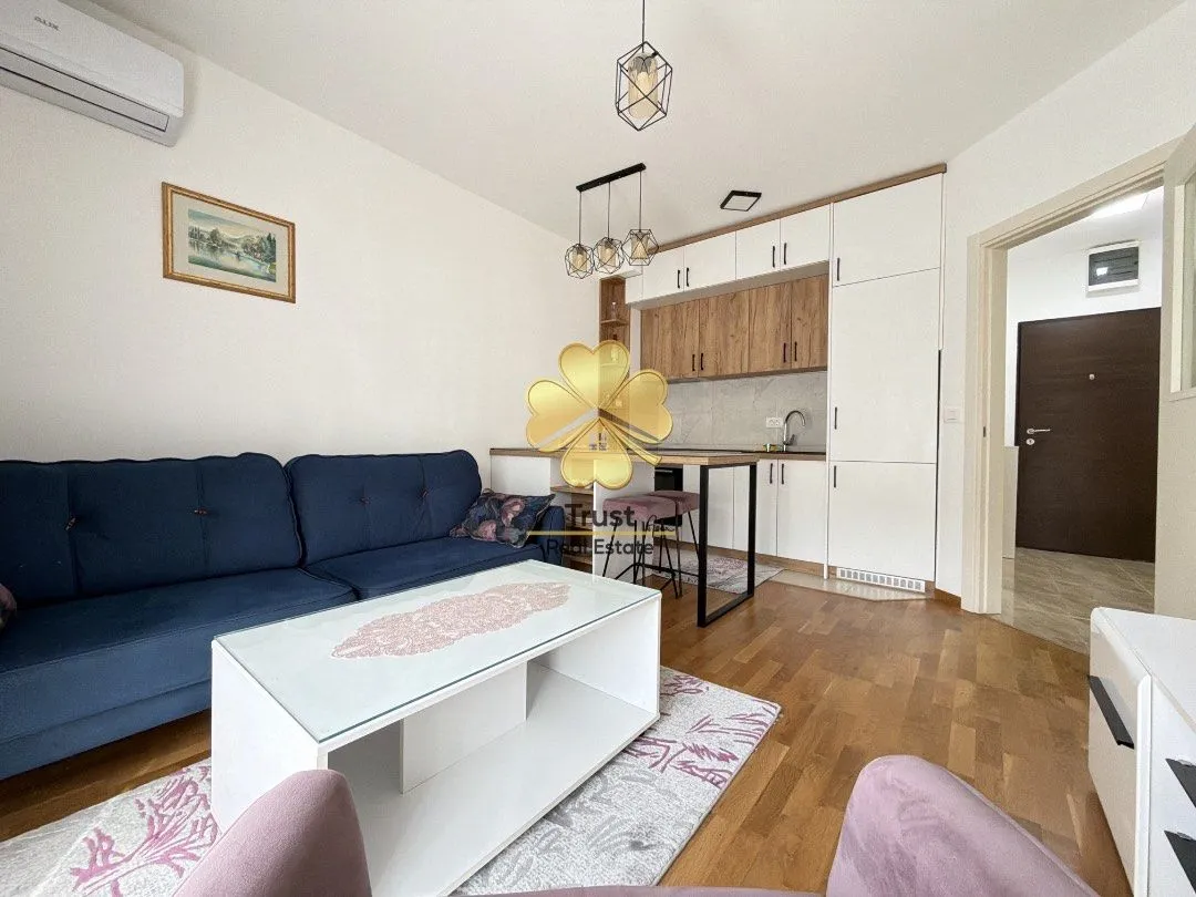 Rent, one bedroom apartment, 45m², Stari Aerodrom, Podgorica