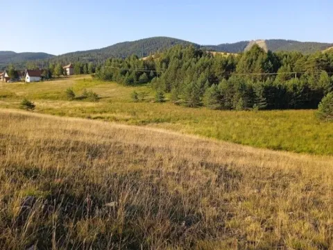 Prodaja, plac, 9825m², Zlatibor, Srbija - image 6